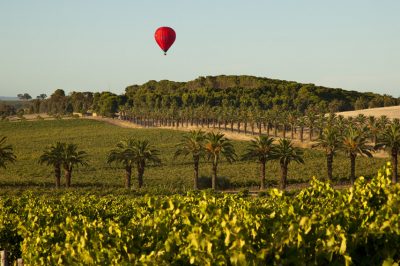 Guide to the Barossa Valley